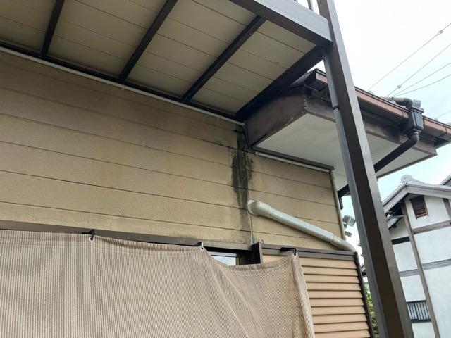 コケが発生している部分