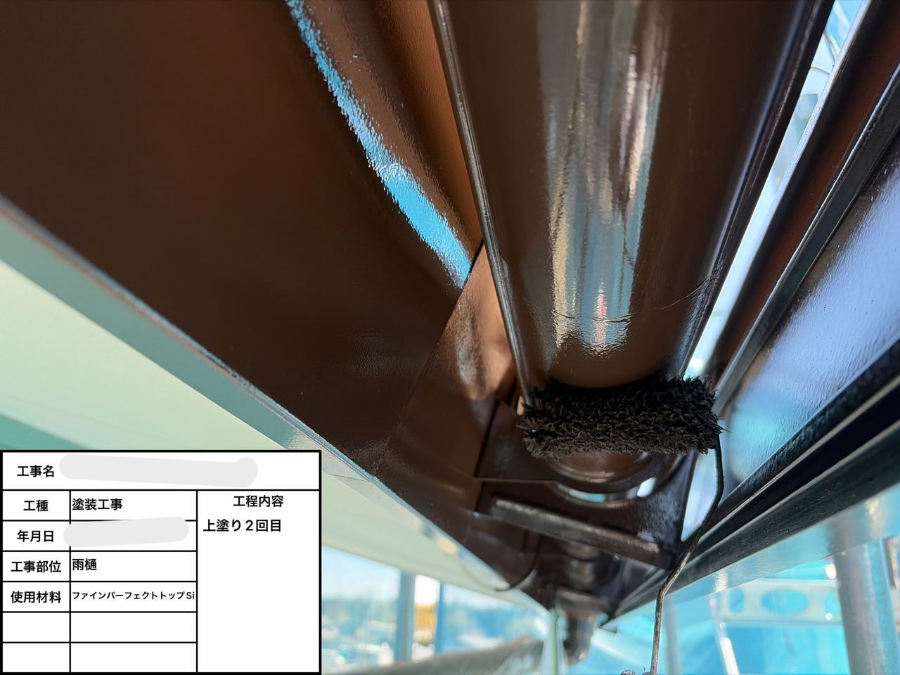 雨樋塗装（上塗り）