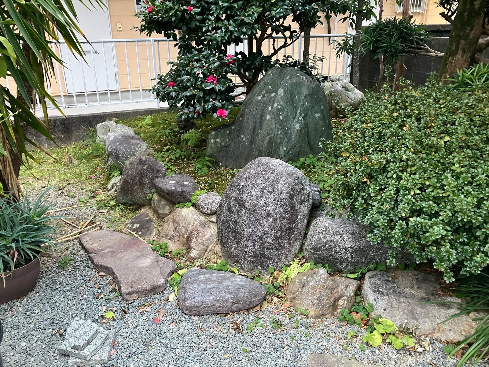 施工前のM様邸庭の石組みエリア。大小の庭石と植栽が組み合わさった日本庭園の既存状態です。